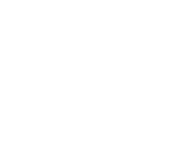 Black Opal logo